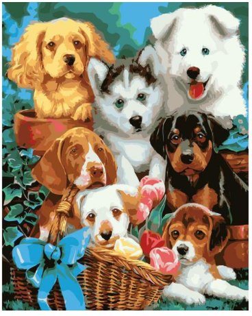 Cute Puppies DIY Painting By Numbers Kit