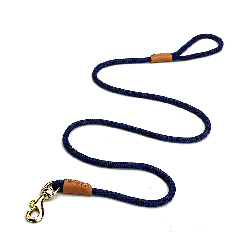 Lightweight Dog Leash Walking For Puppies